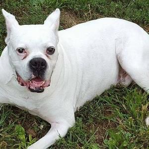 Meet your Posher, Carl